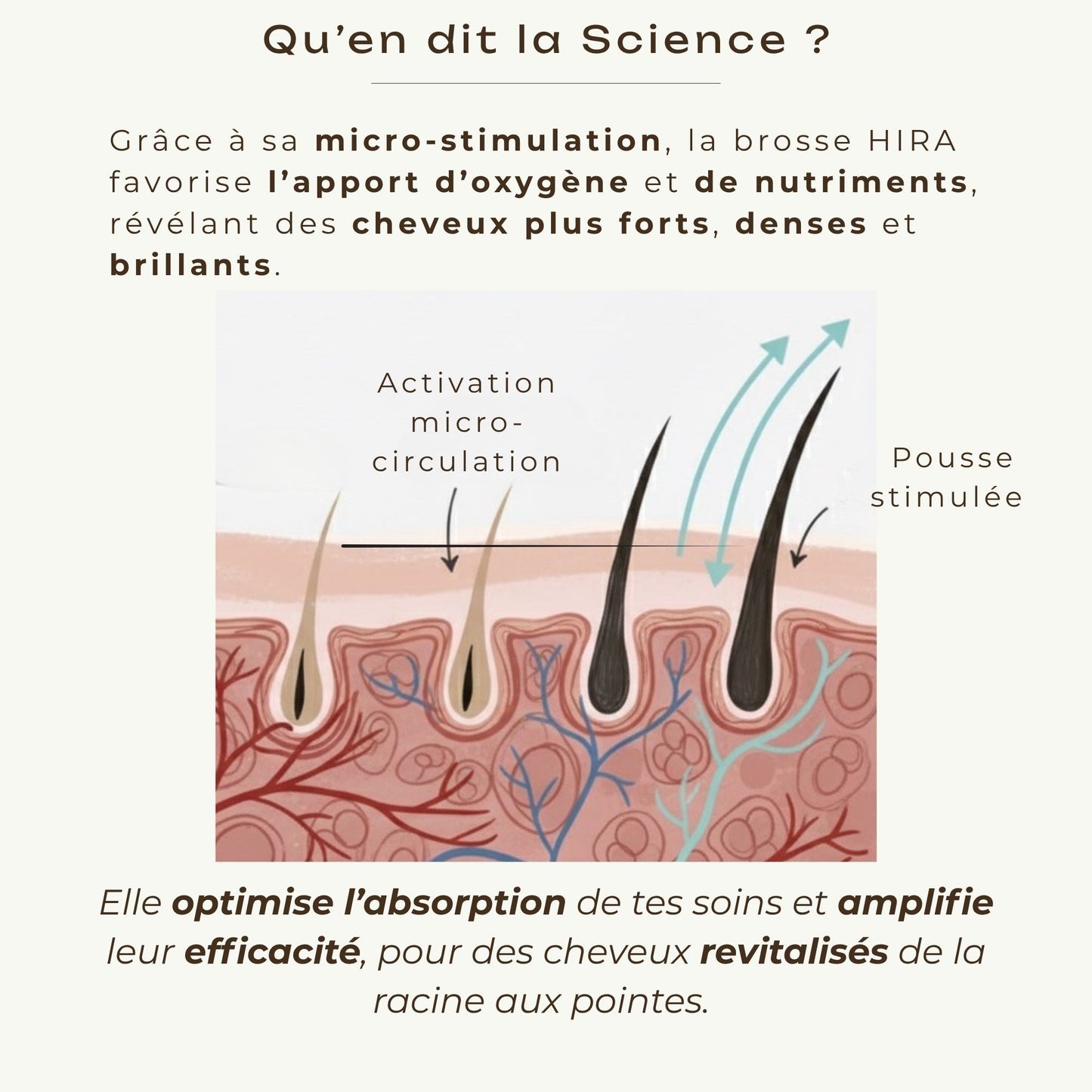 Brosse stimulante – croissance & vitalité